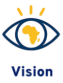 vision