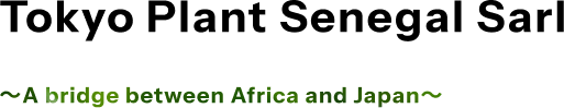 Tokyo plant Senegal SARL 〜A bridge between Africa and Japan〜